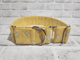 Baby Elephants 2" Large Martingale Dog Collar 17"-24"
