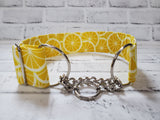 Lemon Slices 2" Large Chain Martingale Collar 17"-24"