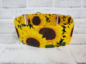 Sunflowers 2" Medium Martingale Collar 12"-19"