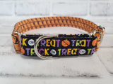 Trick or Treat Witches Hat 1" Two-Tone Medium Martingale Collar 12"-19"