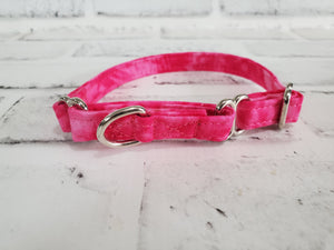 Pretty in Pink 1/2" X-Small Martingale Collar  9"-11"