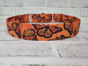 Monarch Butterfly 1.5" XL Martingale Collar 17"-28"