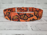 Monarch Butterfly 1.5" XL Martingale Collar 17"-28"