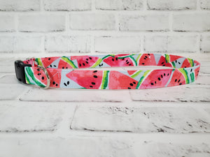 Watermelons 1" XL Buckle Collar 17"-28"