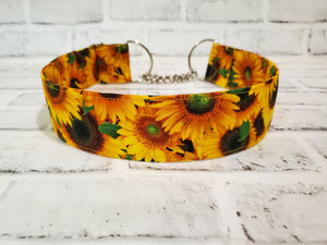Sunflowers 2" XL Chain Martingale Dog Collar 17"-28"