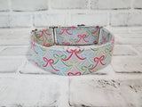 Ribbons 1.5" Medium Martingale Collar 12"-19"