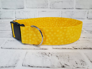 Yellow Polka-dots 2" Large Buckle Collar 15"-24"