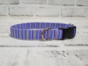 Purple Stripes 3/4" Small Buckle Collar 10"-15"