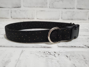 Touch of Gold 1" Medium Buckle Collar 12"-19"