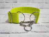 Dots on Lime 2" Large Chain Martingale Collar 17"-24"