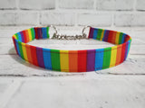 Rainbow Stripes 1" Large Chain Martingale Collar 17"-24"