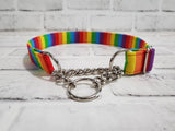 Rainbow Stripes 1" Large Chain Martingale Collar 17"-24"