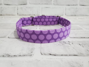 Purple Polka-dots 1" Medium Martingale Collar 12"-19"