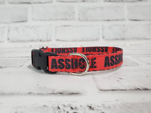 A$$hole Red 5/8" X-Small Buckle Collar  7"-11"