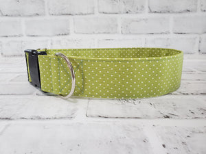 Dots on Green 2" Large Buckle Collar 15"-24"