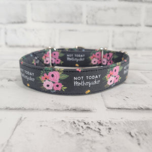 Not Today Motherf*cker 1" Small Martingale Collar 10"-15"