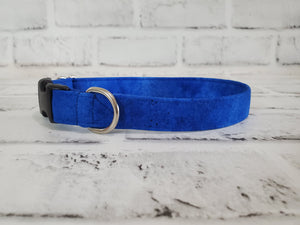 Cool Blue 3/4" Small Buckle Collar 10"-15"