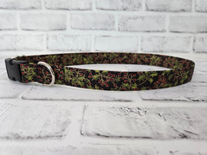 Holly 1" XL Buckle Collar 17"-28"