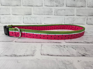 Watermelon 1" XL Buckle Collar 17"-28"