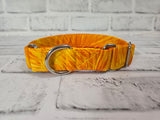 Orange Burst 1" Small Martingale Collar 10"-15"