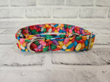 Jellybeans 1" Small Martingale Collar 10"-15"