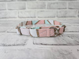 Pink Aqua Gold 5/8" Small Martingale Collar 10"-15"