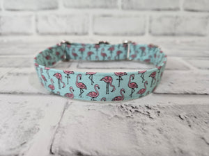 Flamingos 3/4" Small Martingale Collar 10"-15"