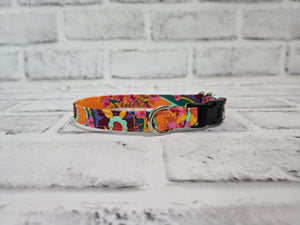 That 70's Vibe 1/2" X-Small Buckle Collar  7"-11"