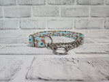 Squirrel Patrol 3/4" Small Chain Martingale Collar 10"-15"