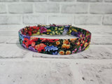 Wildflower Fields 1" Medium Martingale Collar 12"-19"