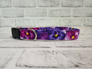 Purple Poppy 1" Medium Buckle Collar 12"-19"