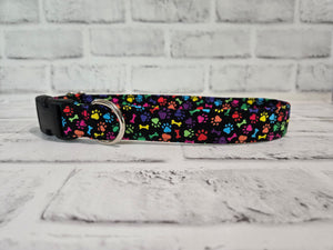 Rainbow Paws 1" Medium Buckle Collar 12"-19"