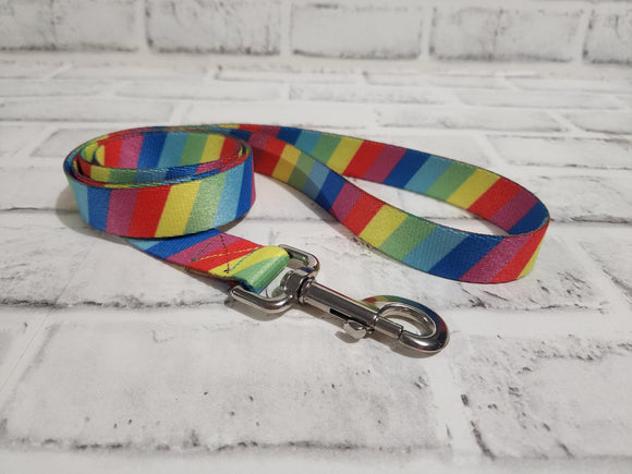 Rainbow 4' Leash