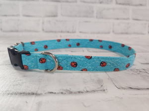 Ladybug 3/4" Medium Buckle Collar 12"-19"