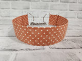 Peach Polka Dot 2" Large Chain Martingale Collar 17"-24"