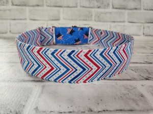 Patriotic Two Tone 2" XL Martingale Dog Collar 17"-28"