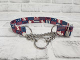 America 1" Medium Polyester Chain Martingale Collar 12"-19"