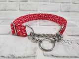 Key To My Heart 1" Medium Chain Martingale Collar 12"-19"