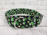 Shamrock 2" Large Martingale Dog Collar 17"-24"