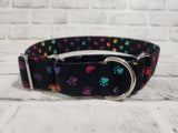 Rainbow Paws 1.5" XL Martingale Collar 19"-28"