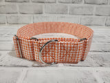 Daisy Picnic 2" XL Martingale Dog Collar 17"-28"