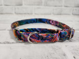 Psychedelic Swirl 3/4" Medium Martingale Collar 12"-19"