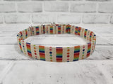Retro Rainbow 1" Large Martingale Collar 17"-24"