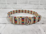 Retro Rainbow 1" Large Martingale Collar 17"-24"