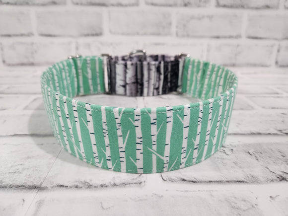 Birch Tree Two Tone 2