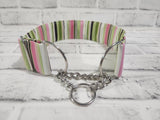 Light Green and Pink Stripes 2" Large Chain Martingale Collar 17"-24"
