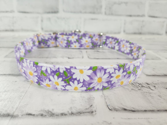 Purple Daisy 1