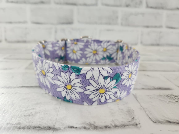 Daisies on Purple 1.5