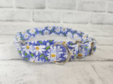 Purple Daisy 1" Medium Martingale Collar 12"-19"