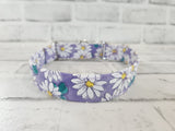 Daisies on Purple 1" Medium Martingale Collar 12"-19"